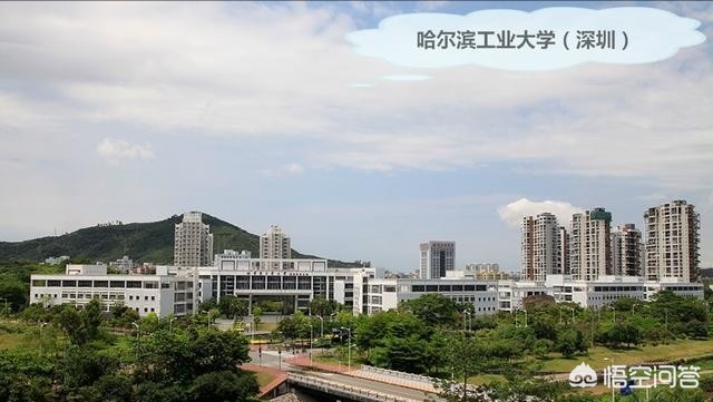 澳门118开奖免费资料