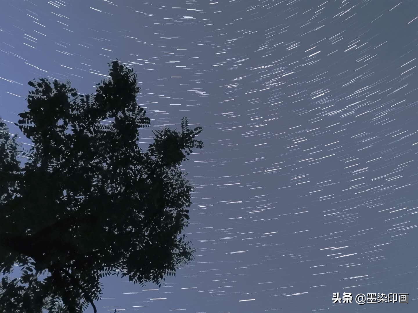 当我飞奔向你电视剧星辰影院