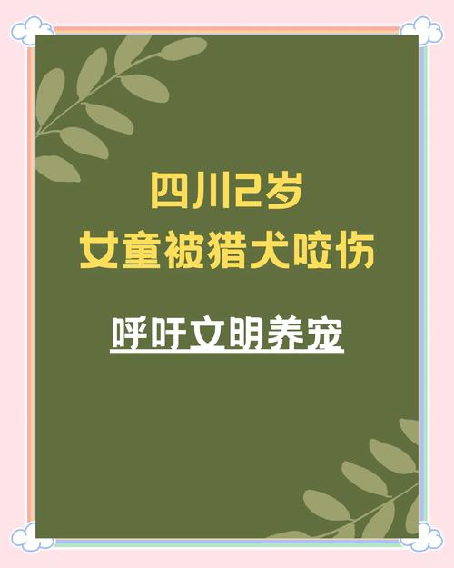下载中心 第5页