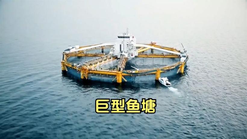 2025新澳门正版免费正题全部视频资讯和把西瓜扔鱼塘喂鱼与把西瓜扔鱼塘喂鱼好吗