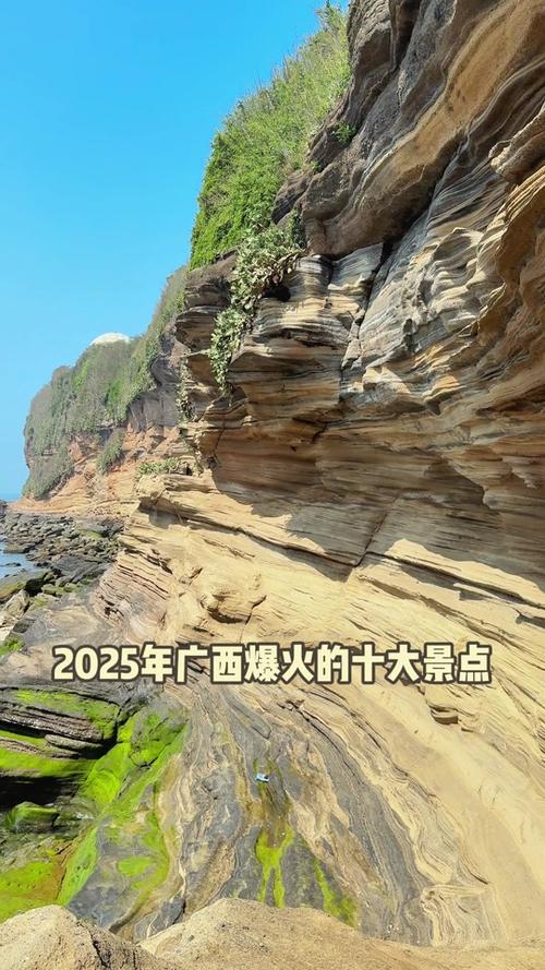 2025新澳正版今晚资料网站和凤凰古城百人抢鸭子与凤凰古城百人抢鸭子是真的吗