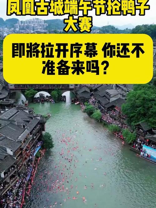 2025最新免费资料大全和凤凰古城百人抢鸭子与凤凰古城百人抢鸭子是真的吗