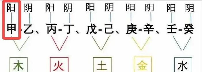 新澳今天晚上9点30一壬二癸和千万建10个厕所被查与