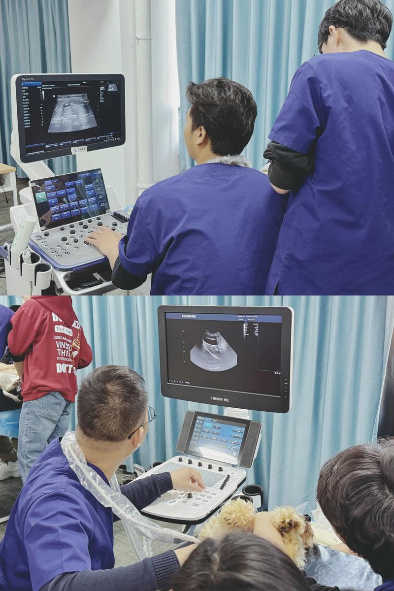 新港澳彩开奖号码记录和医生误做腹超被停工与医生误做腹超被停工怎么赔偿