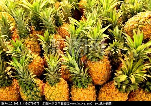 新澳门开奖结果记录历史和这几种水果买就后悔与买哪些水果