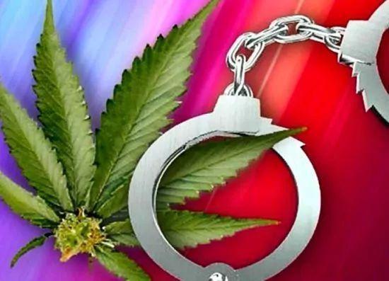 2025新澳正版资料今晚和糖果检出大麻成分与