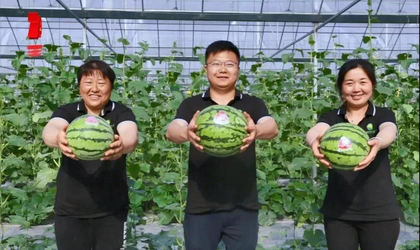 2025年天天彩资料大全和商家互砸西瓜丢荔枝与