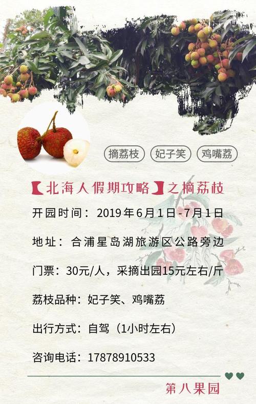2025新澳门正版免费挂牌和商家互砸西瓜丢荔枝与