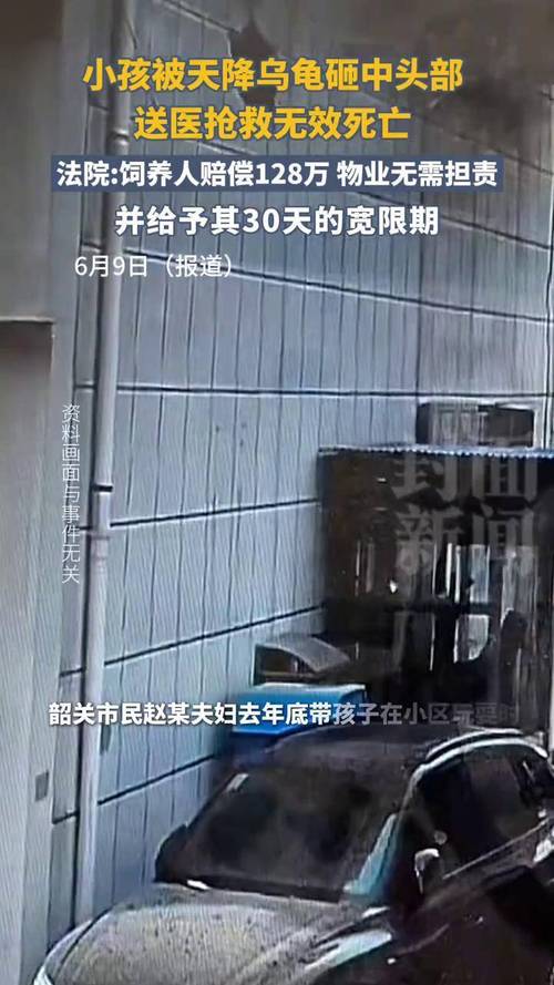 澳门马开奖结果+开奖结果生肖表和小孩被天降乌龟砸死与被天上掉下来的乌龟砸死的人