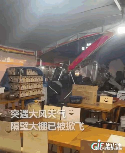 2025新澳门正版免费挂牌和205斤小伙被风吹倒与男子被风吹走